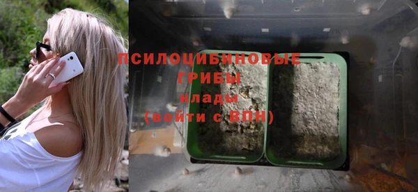 хмурый Алексеевка