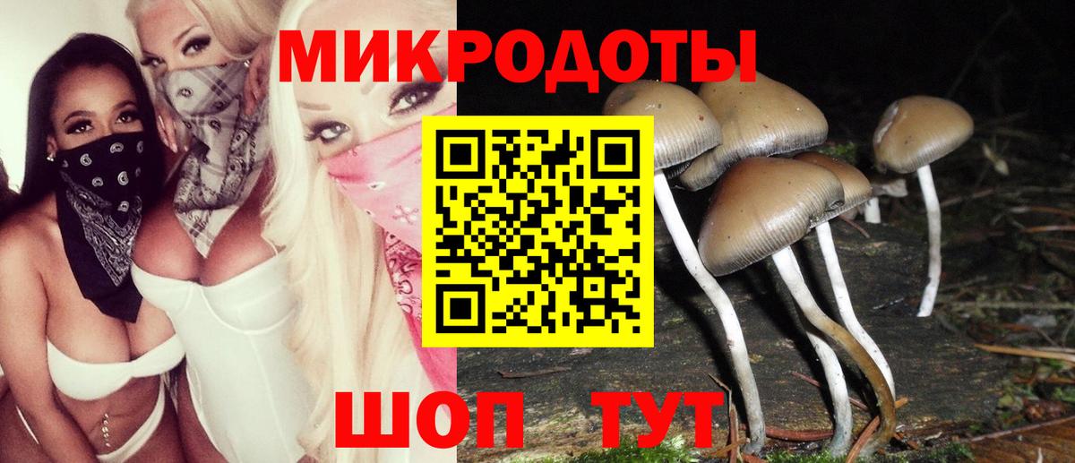 Ярцево  Псилоцибиновые грибы Magic Shrooms  Вход с VPN 